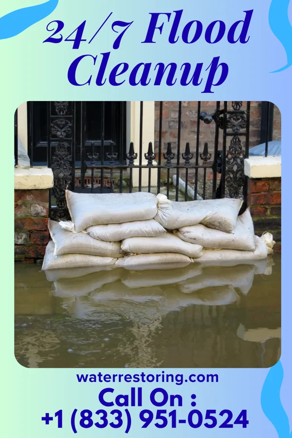 24/7 Flood Cleanup in Wenona, IL