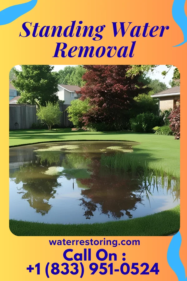 Standing Water Removal in Wenona, IL